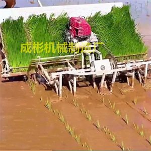便携式轻型水稻插秧机农作物秧苗插秧机栽植机小型农用水田栽苗机