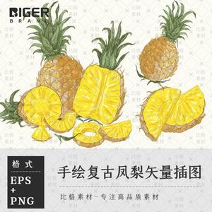 B263国外手绘水果复古凤梨菠萝插图热带水果素材PNG矢量图