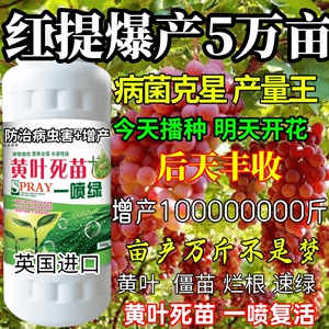 新一代进口专用强效版黄叶死苗一喷绿保花保果叶面肥红提通用类型