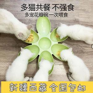新疆西藏包邮猫碗花瓣多猫家庭食盆幼猫专用流浪猫喂食碗猫盘