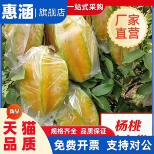 杨桃防虫保护胶袋薄膜套袋苹果防虫透气水果袋透明保鲜促生长袋