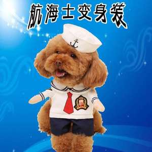警察海盗宠物创意狗狗猫咪骑士变鬼子医生搞笑衣服身搞笑南瓜护士