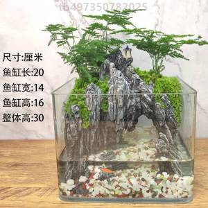 缸生态鱼缸真流水桌面造景水陆造景版景观全套装饰微植物小型水草