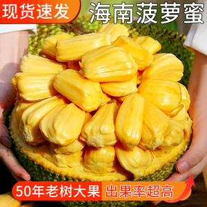 现货速发海南黄肉菠萝蜜一整个包邮新鲜水果干包木波罗蜜10斤干苞
