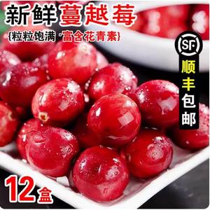 新鲜蔓越莓鲜果当季水果80g*6盒曼树莓孕妇原味熟透红莓烘焙 包邮