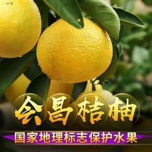江西赣州会昌桔柚10斤新鲜水果现摘当季整箱纯甜柚子大果