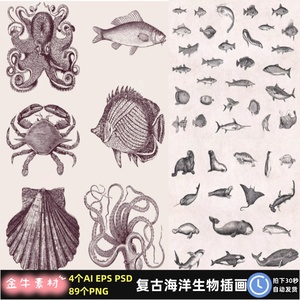 手绘复古黑白海洋生物动物鱼类贝壳章鱼海豹插画矢量图AI设计素材