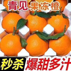 四川青见果冻橙新鲜整箱当季孕妇水果10斤橙子大果柑橘桔子甜橙