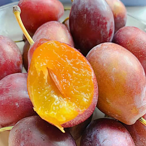 澳洲进口品种品种西梅新鲜水果水果4斤大果顺丰进口品种品种李子