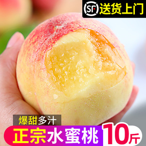 现摘水蜜桃10斤大桃子新鲜水果应当季整箱包邮软时令脆桃毛桃密桃