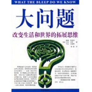 大问题:改变生活和世界的拓展思维 (美)威廉·阿恩茨,贝齐·可斯,