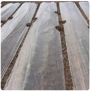 溥膜农用棚膜地膜加厚种植农用地薄膜土壤种菜膜塑料膜薄膜纸菜园