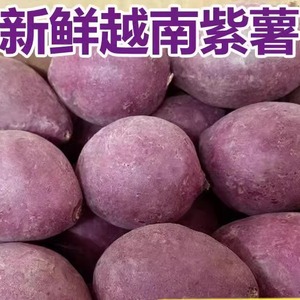 正宗越南小紫薯珍珠板栗紫薯新鲜粉糯甜紫红地瓜现挖沙地番薯