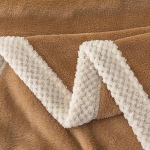 美容床网红双面加厚牛奶绒毛毯法兰绒毯被子冬季床单小毯子午睡毯