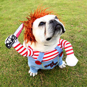 新款宠物狗创意搞怪泰迪狗狗个性搞笑衣服变身装网红小大型犬