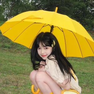 背着善宰跑黄色韩国进口雨伞同款韩国马卡龙绅士淑女伞14骨加固