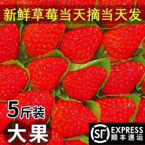 丹东草莓99新鲜东北红颜九九牛奶大草莓东港奶油草莓3斤水果包邮
