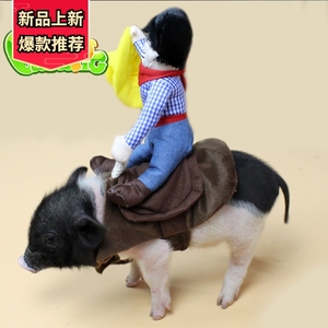 精品超搞笑宠物小香猪骑马衣服猪猪服饰小香猪变身服装