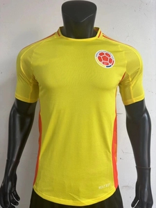 哥伦比亚足球球衣 球员 球迷版24-25赛季