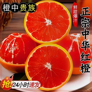 【橙中贵族】中华红血橙宜昌新鲜水果当季整箱5/9斤现摘甜橙天然