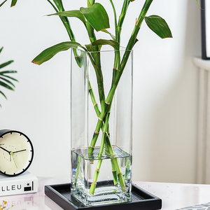 玻璃花瓶摆件客厅透明插花干花方形直筒大号装饰花器水培富贵竹瓶