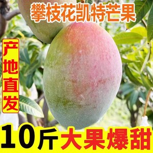 四川攀枝花青皮凯特芒果新鲜10斤水果新鲜当季整箱特大凯特芒鲜果