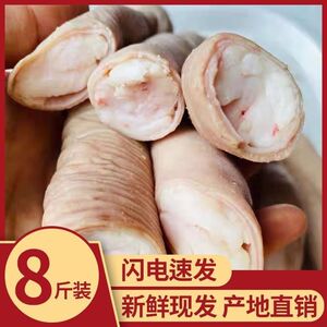 精修黄牛新鲜半熟带油小肠肥肠牛圆肠半成品牛肠烧烤韩式牛杂广东