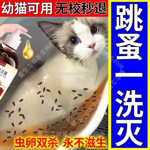 去猫身上跳蚤的药给猫咪驱虫的药幼狗专治耳螨洗澡沐浴露专用喷雾