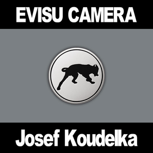 【福神楽】约瑟夫寇德卡Josef Koudelka 雪地里的狗 徽章胸针