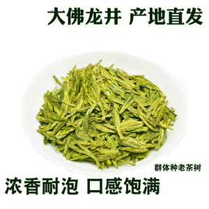 高山龙井2024新茶高品质绿茶浓豆香新昌大佛龙井茶叶春茶250g散装