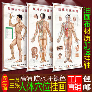 男性针灸艾灸人体经络穴位图大挂图足部全身中医养生保健按摩海报