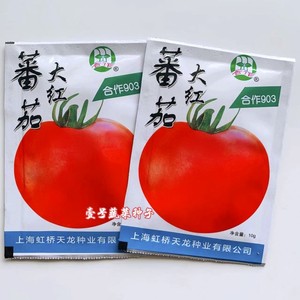 上海虹桥合作903大红番茄种子早熟高产自封顶春秋播西红柿蔬菜籽