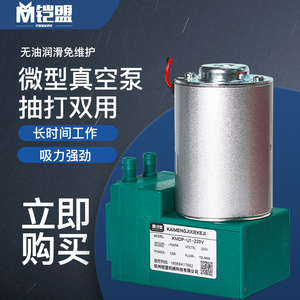 有刷直流微型真空泵小型抽气12v24v220V负压气泵采样抽气泵隔膜泵