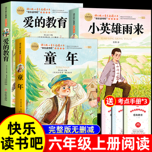 全套3册 童年爱的教育和小英雄雨来六年级上册必读的课外书老师推荐经典书目正版完整版高尔基管桦原著快乐读书吧6上鲁滨逊漂流记