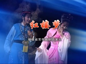 越剧 红楼梦 陈丽宇王君安郑全祝萍芳徐建莉邹美英 2DVD