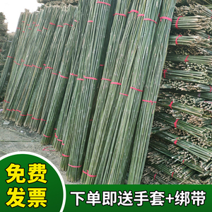 豆角架黄瓜架子小竹子细竹竿菜园搭架 园艺户外棍竹杆2米3米竹竿