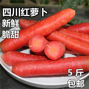 四川自贡红萝卜新鲜泥沙地水果胡萝卜农家自种有机蔬菜沙窝甜萝卜