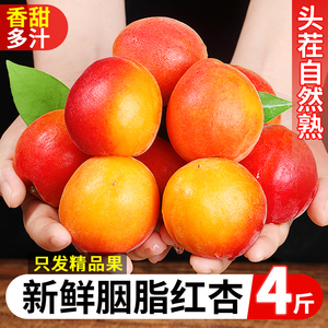 陕西胭脂红杏新鲜杏子5斤当季整箱水果现摘自然熟甜杏太阳杏包邮3