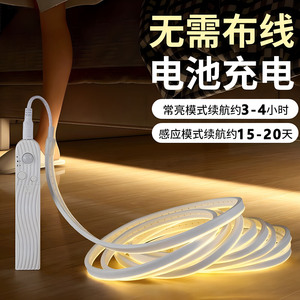 led智能灯带人体感应小夜灯免布线光感灯条充电插电氛围橱柜床下