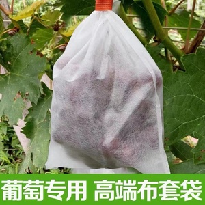 无纺布葡萄袋套袋专用纸袋水果袋防水防雨防虫莲雾保护透气半透明