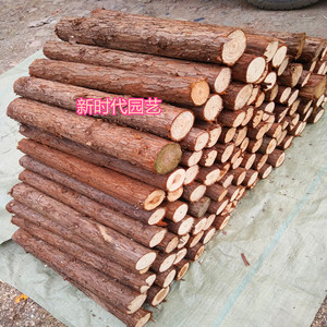 原生态杉木干天然树木带皮木桩树杆木桩杉木杆真树干树枝树杆装饰 阿里巴巴找货神器