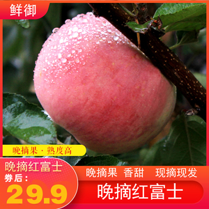 鲜御 山东烟台苹果 应季新鲜水果 农家晚熟红富士脆甜5斤80-85mm