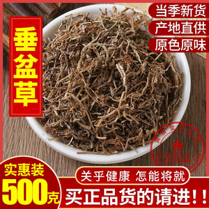 垂盆草中药材500g克食用垂盆草干垂盆草锤盆草