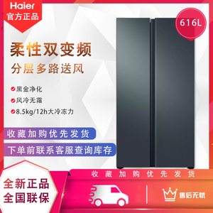 Haier/海尔 BCD-616WGHSSEDC9一级变频风冷无霜家用对开双门冰箱