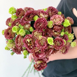 粉色菠萝花 粉色菠萝花品牌 价格 阿里巴巴 粉色菠萝花 粉色菠萝花品牌 价格 阿里巴巴