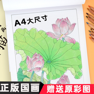 中国画白描入门绘画册画画本大人减压涂色本儿童涂色书小学生图画