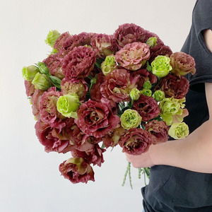 粉色菠萝花 粉色菠萝花品牌 价格 阿里巴巴 粉色菠萝花 粉色菠萝花品牌 价格 阿里巴巴