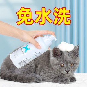 宠物猫咪干洗泡沫专用幼犬母狗狗怀孕期产后免洗澡除臭香波喷雾剂