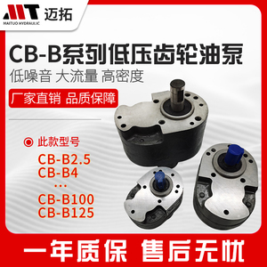 CB-B6/B10/B4/B16/B20/B25/B32/B40/B50/B63/B80/B100/B125齿轮泵