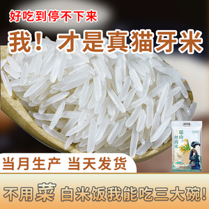 瑶山正宗猫牙米长粒香大米超长当季新米农家丝苗米煲仔饭专用真空